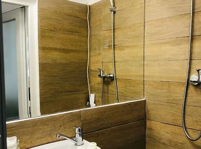 Apartment Petit Brasov